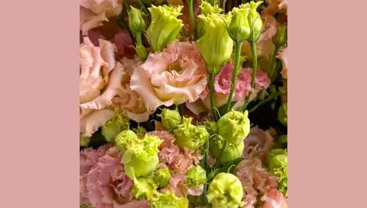 Букет «Абрикос» из&nbsp;эустомы FMART by flowwow