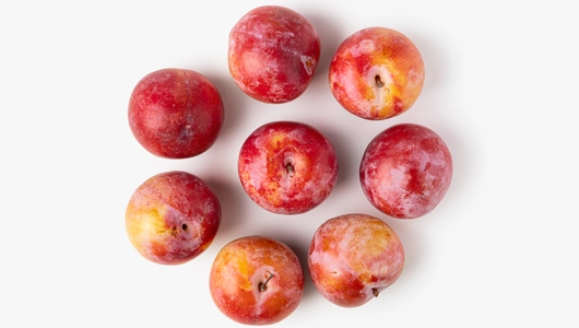 Слива розовая