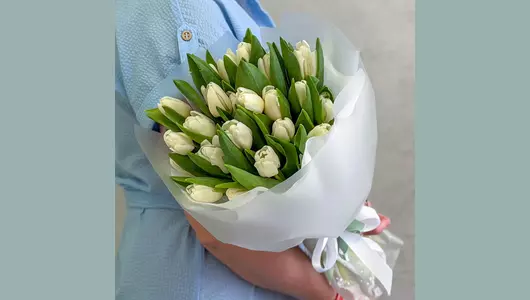 Букет 25 белых тюльпанов FMART by flowwow