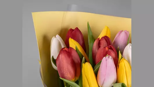 Букет из&nbsp;15 тюльпанов микс стандарт в&nbsp;оформлении