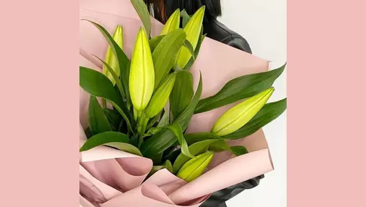 Лилия в&nbsp;дизайнерском оформлении FMART by flowwow