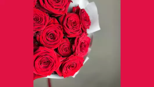 Красные розы (25шт) FMART by flowwow