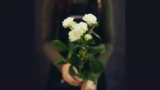 Роза кустовая, белая  5шт. (70см)