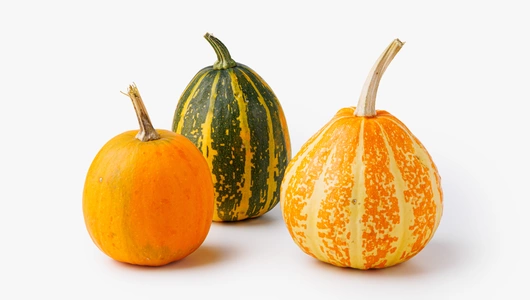 Тыква декоративная в ассортименте, 3 шт
