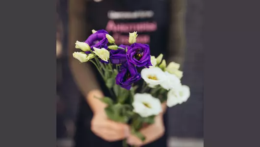 Эустома 11 штук микс