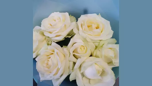 Роза белая в&nbsp;букете FMART by flowwow