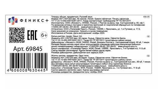 Тетрадь общая Феникс+ предметная Селфи Русский язык A5 48 листов в линейку на скрепке Тетрадь общая Феникс+ предметная Селфи Русский язык A5 48 листов в линейку на скрепке
