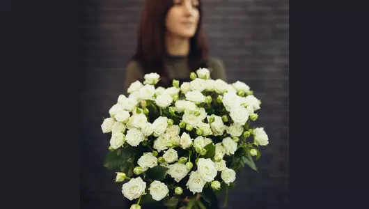 Роза кустовая, белая  5шт. (70см)