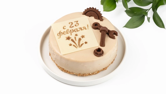 Торт муссовый "С 23 февраля" шоколадный микс сырный