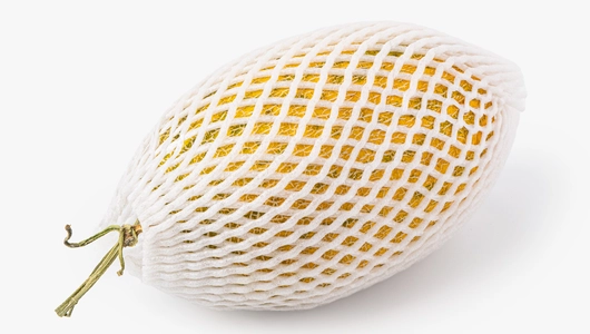 Дыня весенняя