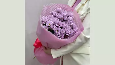 Розовая кустовая хризантема FMART by flowwow