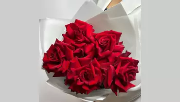 Изображение товара Красные французские розы FMART by flowwow — символ страсти и нежности