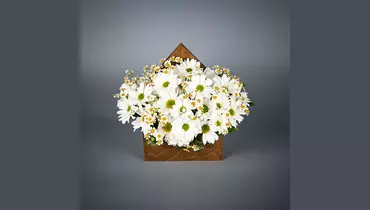 Композиция Белые мечты