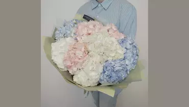 Букет из&nbsp;гортензий