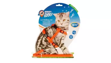 Изображение товара Светоотражающая шлейка для кошек DUVO+ оранжевая 20-35см/125х1см (Бельгия)