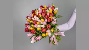 Букет из&nbsp;51 тюльпанов микс стандарт под&nbsp;ленту