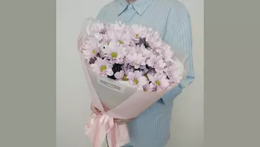 Зефирное облако нежности