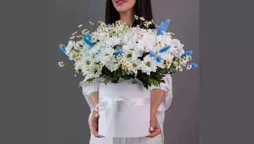 Солнечный луг в шляпной коробке