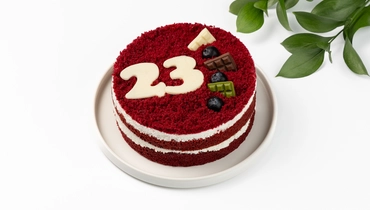 Торт "День защитника" красный бисквит с&nbsp;вишней