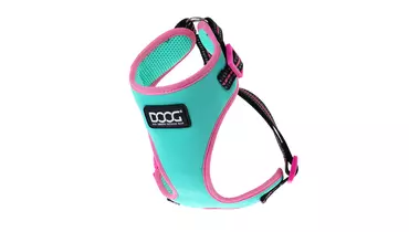 Изображение товара DOOG Шлейка для собак "NEOFLEX RIN TIN TIN", бирюзовый с розовым кантом, L (Австралия)
