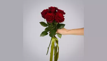 Изображение товара Монобукет из 5 роз "Explorer" под ленту