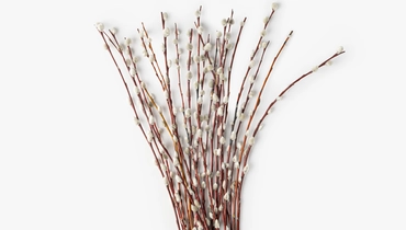 Вербы букет, 9 шт