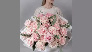 Букет из&nbsp;25 розовых, французских роз с&nbsp;эвкалиптом FMART by flowwow