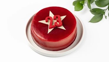 Торт муссовый "Февральская звезда" ванил. лесная ягода