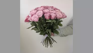 Букет роз Infused Pink 25 шт. под&nbsp;ленту