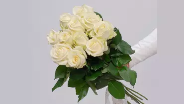 Букет из&nbsp;11 белых роз 60см (Россия) под&nbsp;ленту