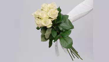 Изображение товара Букет из 7 белых роз 60см (Россия) под ленту