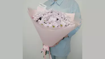 Персиковый рассвет