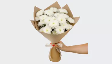 Изображение товара Букет Вечная нежность из белых хризантем 500 г СоюзЦветТорг