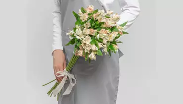 Букет из&nbsp;11 нежных альстромерий микс