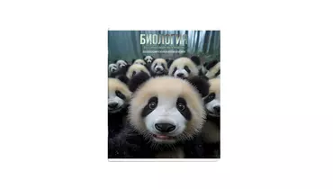 Тетрадь общая Феникс+ предметная Селфи Биология A5 48 листов в клетку на скрепке