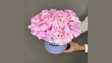 Изображение товара Коробочка из розовых гортензий FMART by flowwow