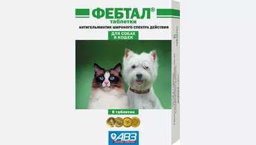 Изображение товара ФЕБТАЛ антигельминтик для собак и кошек 6 таб - профилактика паразитов