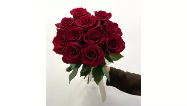 Букет из&nbsp;11 красных роз EXPLORER 50CM