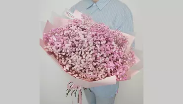 Изображение товара Букет из 19 веток розовой гипсофилы