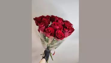 Букет красных роз Эквадор 21 шт. в&nbsp;упаковке