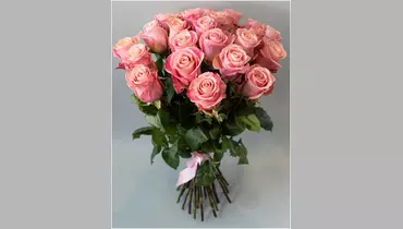 Букет из&nbsp;25 роз Хермоза