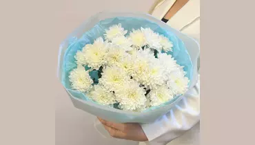 Изображение товара Монобукет из белой кустовой хризантемы от FMART by flowwow