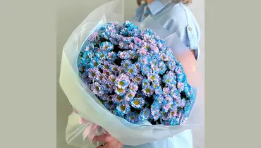 Букет «Сияние неба» из&nbsp;25 сантини FMART by flowwow