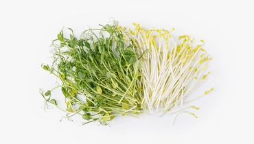 Изображение товара Микс из микрозелени гороха 50 г свежий продукт для салатов и украшений
