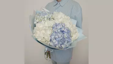 Морозное утро