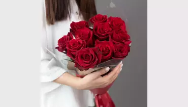 Изображение товара Букет из 11 Бордовых роз (55см)