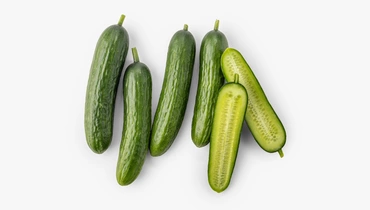 Изображение товара Огурцы среднеплодные гладкие сорт Сплэш 385 г