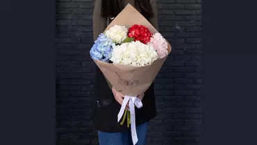 Букет из 7 гортензий микс