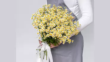 Изображение товара Букет ромашек с пшеницей "Её улыбка - S"