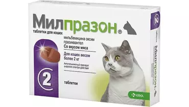 Изображение товара Милпразон антигельминтик для кошек 2 таблетки, против паразитов, бренд Динозаврик